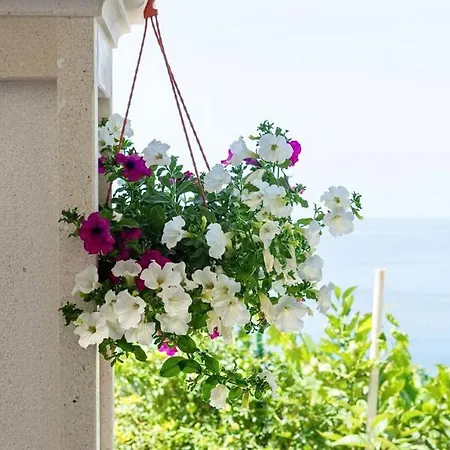 Διαμέρισμα Bella Vista