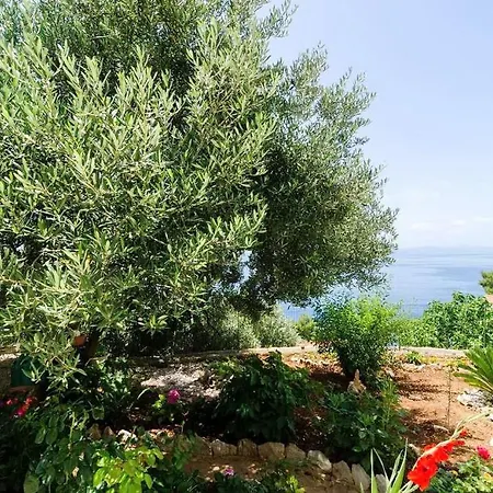 Apartment Bella Vista